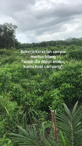 😂