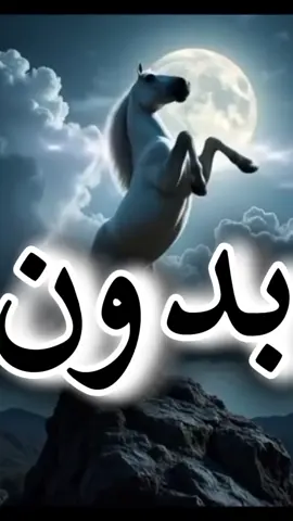 بدون أخاك ستأكلك الضباع حتى لو كنت أسدا
