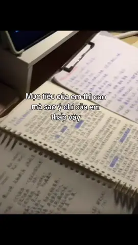 #study #学习 #hoctap #dongluc 
