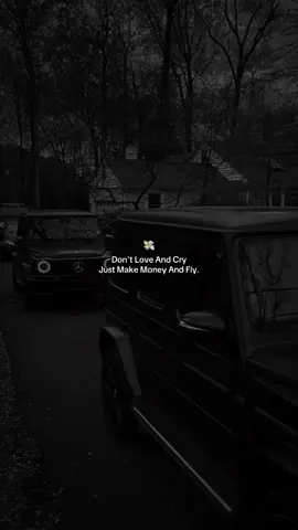 Focus on money, love is a scam.