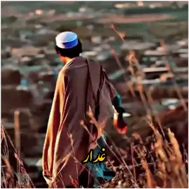 Kmaal khan hosi moya hoya #virlaccount🥺🙏 #ghadar #virlvideo #👀 