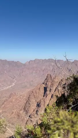 #المدينة_المنوره #تلعة_نزا #ينبع 