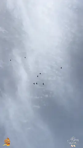 #ماشاء الله 👏🏻👏🏻