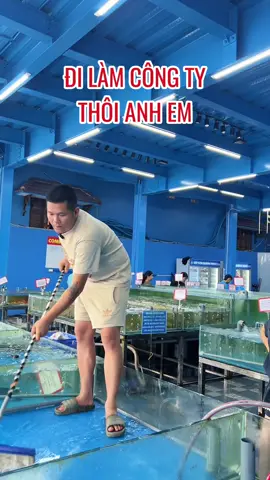 Các ông có giống tôi không #tronghaisan 