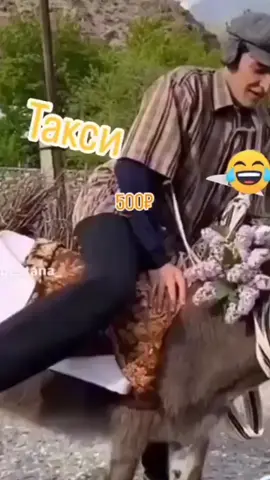 Такси Эми карина бох😂