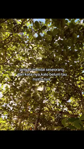 🤝#ambontiktok #malukupride🏝🔥 #k3bi #lagutimur #fypppppppppppppp 