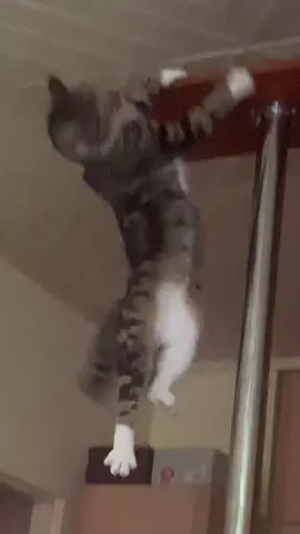 денчик слазяет