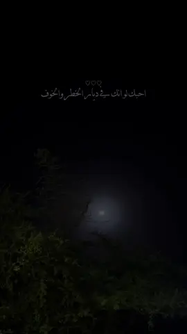 #CapCut #لايك_متابعه_اكسبلور #مجرد_ذووقツ🖤🎼 #شيلات_ذوق 