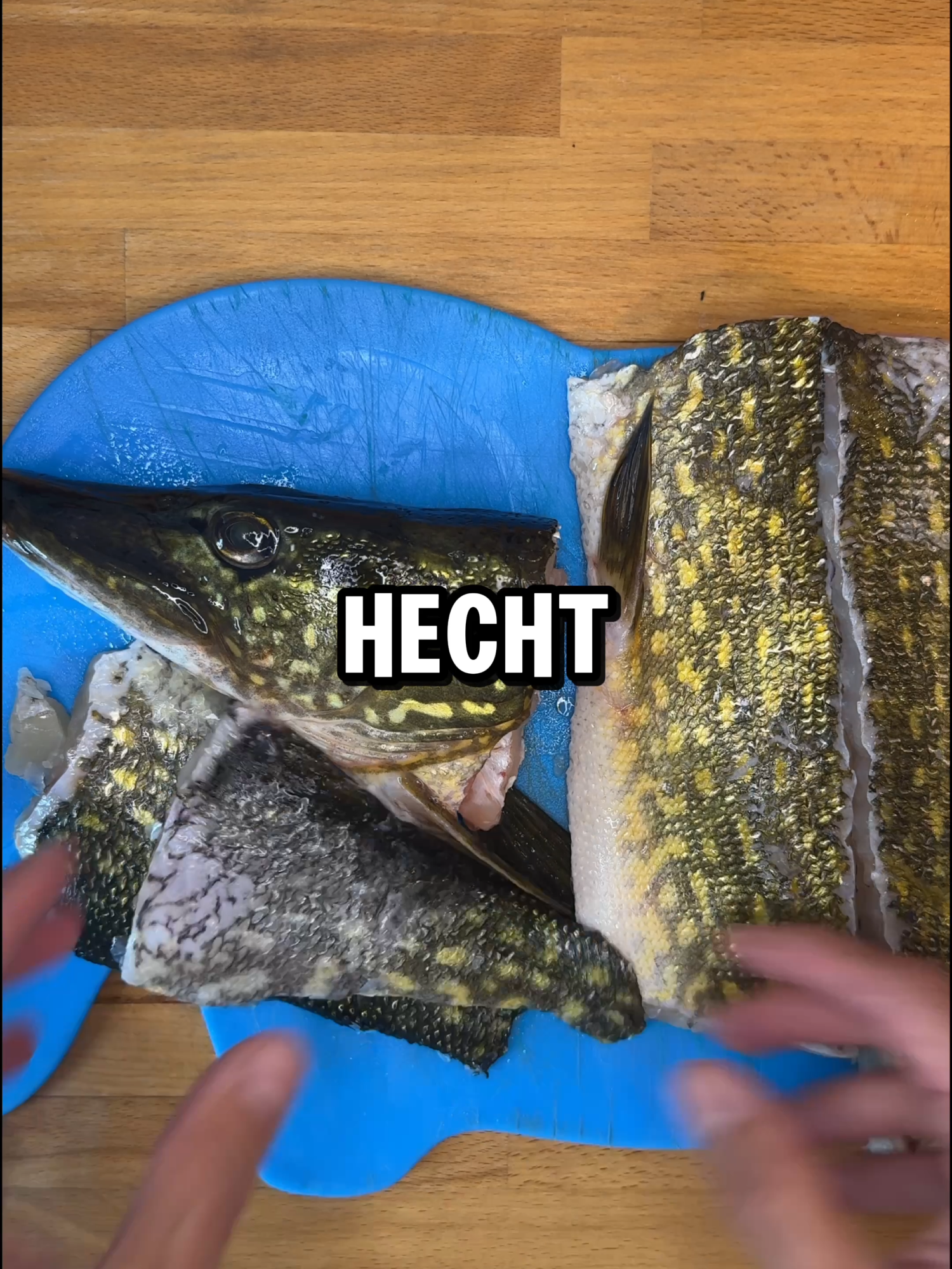 Hechtfilets ganz einfach und ohne Gräten! #angeln #Raubfisch #hechtangeln #hecht #catchandcook
