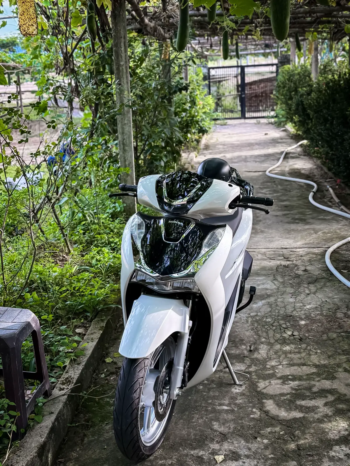 #sh125 #shouthvietnamscooterteam🇻🇳 