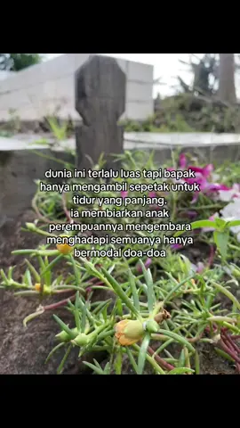 tenang di surganya Allah pak🤍 #rinduayah #ayahhebat #masukfyp #xyzbca #sadstory #fyppppppppppppppppppppppp #sadvibes🥀 