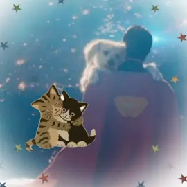 WHERES THE DOG!!!!!!!!!!!  #superman #clarkkent #superman2025 #davidcorenswet #supermanedit #viral #fyp #fypシ #trending #aftereffects #dc #dccomics #krypto 