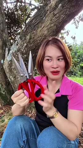 Combo 3 kéo cắt đa năng bản lớn#dogiadung #dodungnhabep #keo #keocatthitga #dungcunhabep #donhabepgiare