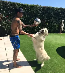 🐶💥 O CAOS DO DIA: Cachorro do Neymar estoura a bola e encerra a diversão! ⚽😂 Quem diria que o parceiro de quatro patas do craque Neymar iria virar o centro das atenções? Em um momento descontraído de lazer, o doguinho não quis saber de jogo e foi direto na bola… PÁ! Estourou o brinquedo e decretou o fim da brincadeira! A galera caiu na risada e o vídeo já está circulando nas redes, arrancando gargalhadas dos fãs. O bichinho pode até não saber jogar bola, mas sabe roubar a cena como ninguém! Será que o Neymar vai colocar o peludo na concentração? 🐕🔥 #Neymar #CachorroDoNeymar #FailEngraçado #EstourouABola #DogEstrela #VidaDeFamoso #HumorDoDia #PetFails #Curta #Compartilhe #Comente 🐾