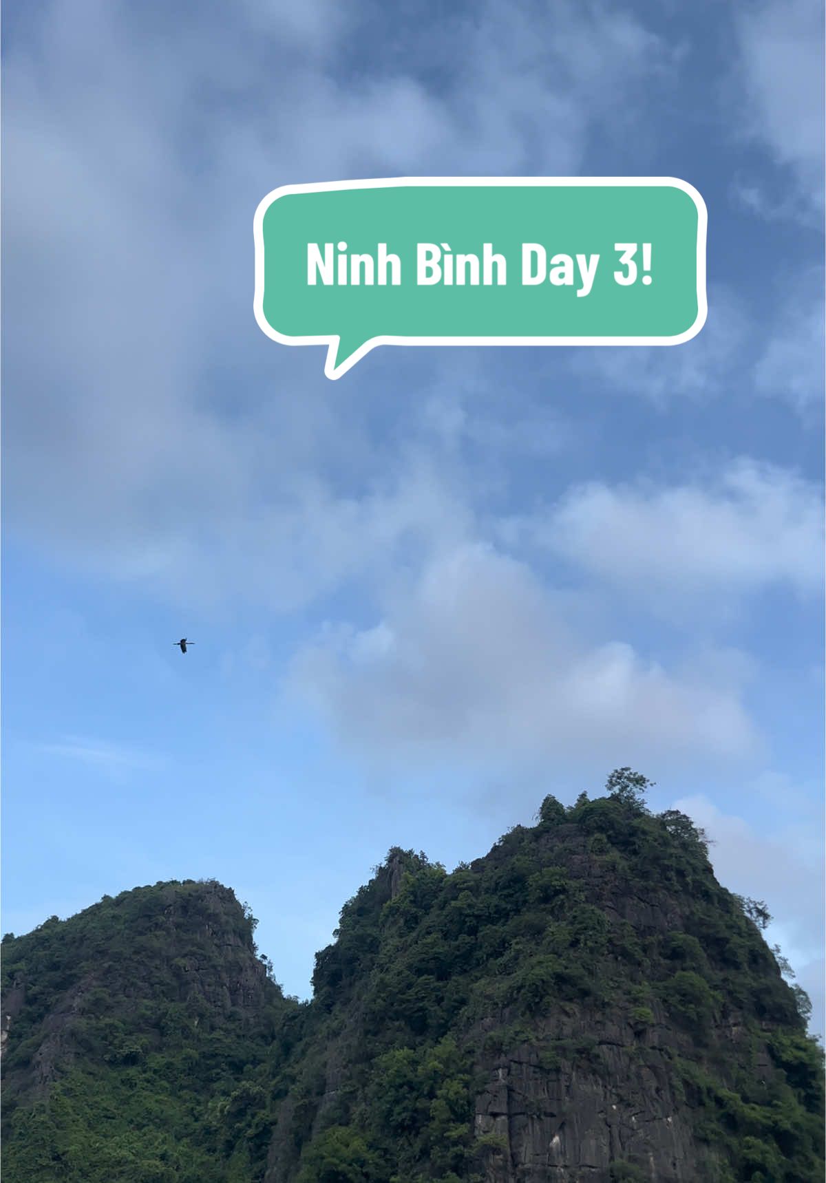 ⛰️ Ninh Bình ngày 3. Thời tiết chiều lòng người. Sáng trưa nắng tươi, dậy bơi và dạo chơi 1 xíu trong khuôn viên resort rồi đi ăn bún chả Ninh Bình. Quán rộng mát và sạch sẽ, bún ngon. Chiều trời dịu mát ngồi thuyền tham quan Tam Cốc, lý tưởng là sau 4h chiều đỡ nắng chụp ảnh đẹp đỡ nheo mắt và gió mát hiuhiu rất chill nha ace 😙😙😙  #aravinda #tamcoc #tamcoc_bichdong_ninhbinh #ninhbinhtrip #ninhbinhreview #reviewninhbinh #ninhbinhangi #anngonninhbinh 