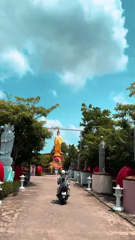 Chùa Phật Học 2 hay còn có tên gọi khác là Chùa Quan Âm Linh Ứng, là một ngôi chùa tọa lạc tại phường 8, thuộc thành phố Sóc Trăng, tỉnh Sóc Trăng 🪷#chua #phat #hoc #soctrang #phatphapnhiemmau #phatgiao #kinh 