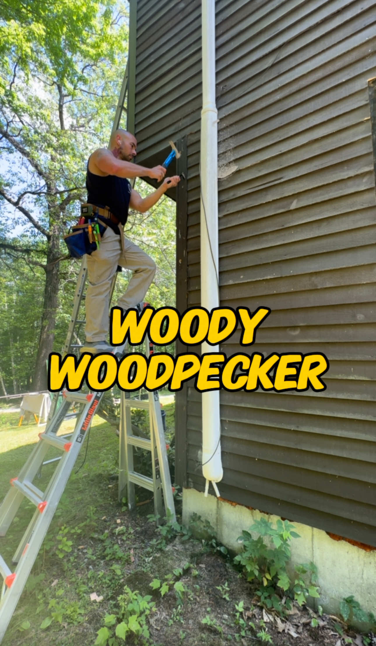 Damn woodpeckers. #remodel #construction #homerenovation #bathroom #howto #tools #DIY #carpentry #construction #homeremodeling #hgtv #tooltips #constructiontips #diytools