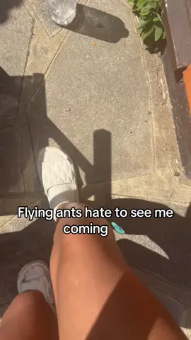 trying to tan in peace and they’re just landing on me 🤬🫩 #fyp #kelseylya #lol #flyingants #uksummer #Summer #insects #viral #foryoupage❤️❤️ 