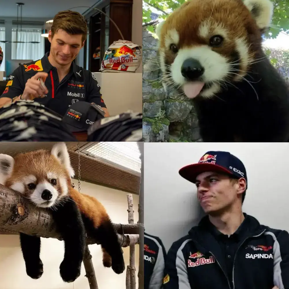 #f1 #f1tok #f1tiktok #formula #formulaone #formula1 #redbull #redbullracing #mclaren #haas #mercedes #astonmartin #williamsracing #ferrari #scuderiaferrari #alpine #racingbulls #sauber #maxverstappen #yukitsunoda #landonorris #oscarpiastri #estebanocon #olliebearman #georgerussell #kimiantonelli #fernandoalonso #lancestroll #carlossainz #alexalbon #charlesleclerc #lewishamilton #pierregasly #francocolapinto #isackhadjar #liamlawson #nicohulkenberg #gabrielbortoleto #fyp #foryoupage #foru #foryou #dc #dlaciebie #viral 
