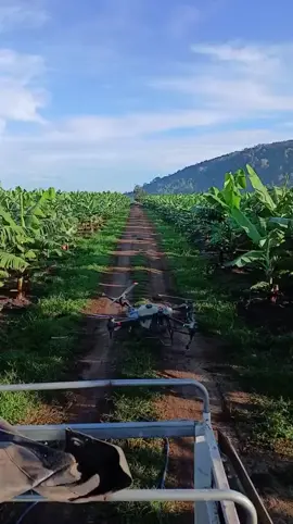 Nông nghiệp Việt Nam ngày một đi lên