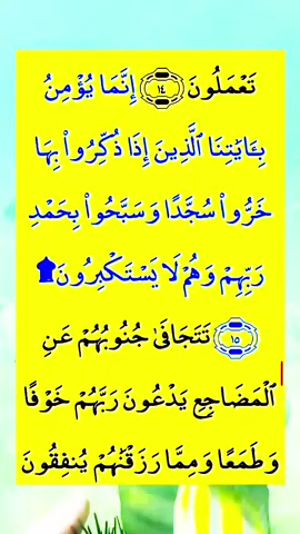 #alquran #official #quranrecitation #pourtoii 