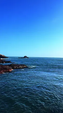 @La Única Tropical 🌴🌊 #tunombre #cumbiaperuana #playa #launicatropical #parati #musica #viral_video 