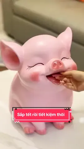 Tiết kiệm cuối năm lấy tiề,n tiêu tết thôi cả nhà 🧧#heodat #ongheotietkiem #londat #tiktokviral 