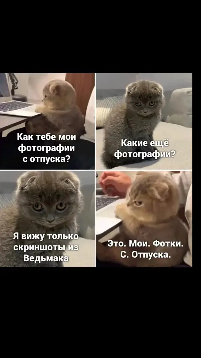 #ведьмак #ведьмак3дикаяохота #witcher #мем #юмор #смех #гейминг #игра #Геральт #Geralt #cdpr 