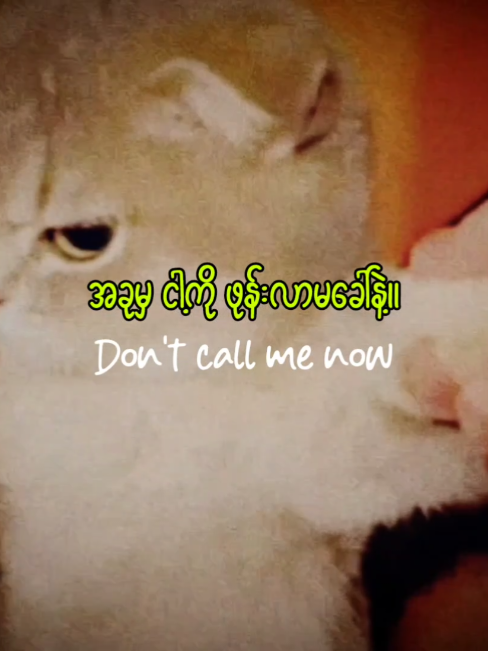 Call Me Now🌈🌿 #callmenow #fypシ  #LoveSong #foryou  #mmsub #myanmartiktok🇲🇲🇲🇲 