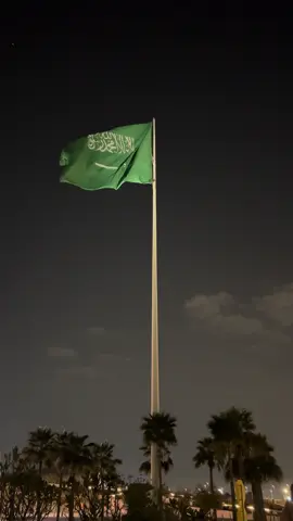 #المملكه_العربيه_السعوديه🇸🇦 