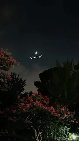 سأل عليا ب ايه بكلامه ولا عينيه💔 #أنغام_عشق_لاينتهي  #مجبش_سيرتي  #اكسبلور #foryou 