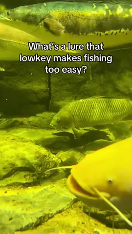 Wacky rig for me!#fishing #fishinglife #fishingtiktoks #fishinglife #fisherman 