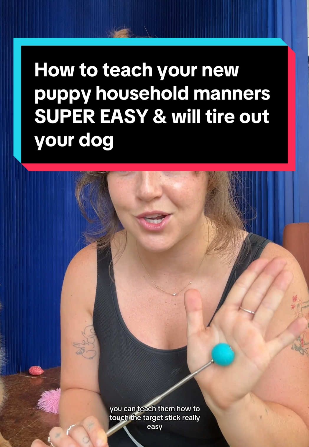We LOVE using a target stick for high energy pups! It really helps them think and will help wear them out a bit, which I’m sure you’ll be happy about ❤️🥰  What other dog training tips are you looking for? Let me know in the comments - I really appreciate your feedback & it helps me create better content!  Use code TIKTOK to save $$$ on any of my guides (in my bio) 🐶  #puppylife #puppymannersseries #puppyprepping #dogtraininghowto #targetstick #germanshepherd #taylorcezanne 