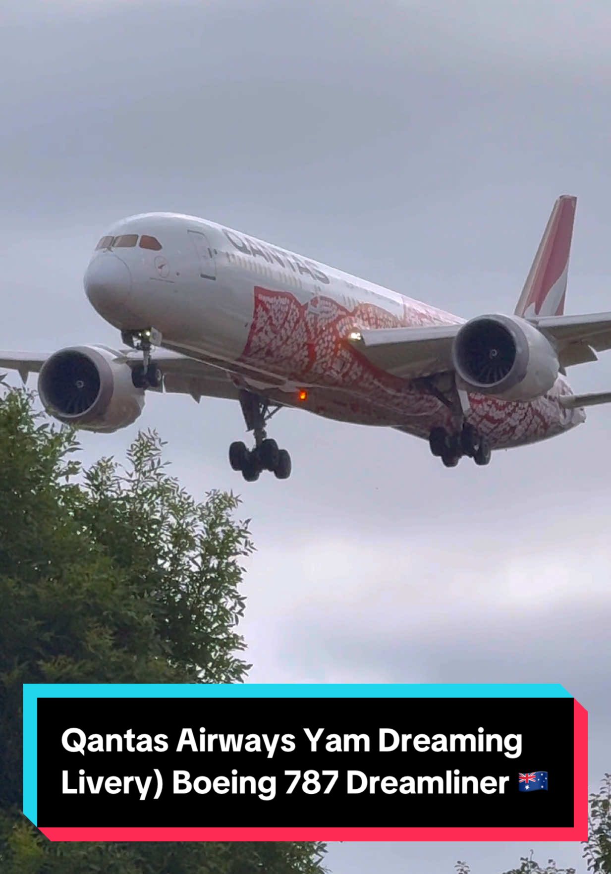 Qantas Airways (Yam Dreaming Livery) Boeing 787-9 Dreamliner ✈️🇦🇺 #qantas #boeing #boeing787 #dreamliner #aviation #aviationdaily #airlane #planespotting #landing #airport 