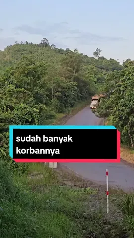 besar dan panjang#pengenfyp #belajarbareng #kalimantantimur #indonesia #tambangbatubara #mining #trailerosmexicanos🇲🇽💯😎 #trailer #samindo #trasindo #mha 