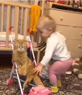 #funnybaby #comedia #fyp #live #babiesoftiktok #videoviral #baby #catoftiktok #vairal #cutebaby #videoviral #vairal_video 