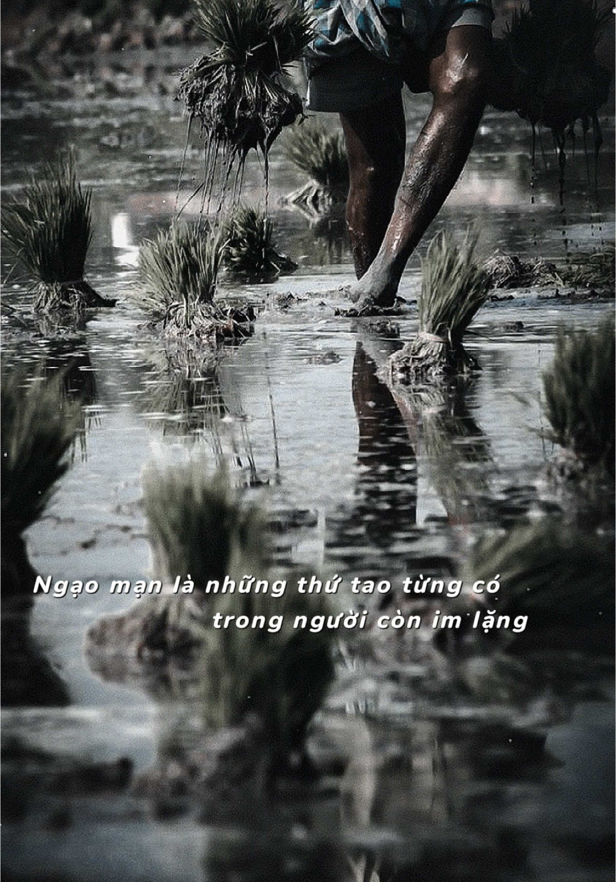 Ng.ông cuồng háo thắng ...! #thinhhanh #trend #xuhuongtiktok #nhachaymoingay 