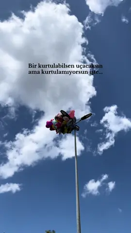 🎈 #fyp #özgür #bulut 