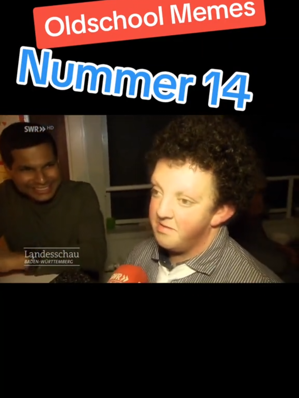 Bist du die Nr. 14 😂 #nummer14 #memestiktok #memecut #oldschoolundso #oldschool #löwenpapa🦁 #🦁🤜🤛🦁 #löwenpapadjay #zeitzeugeddr 