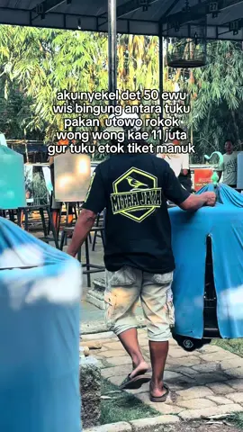 kpn yo #gantanganmitrajaya #murai #seduluranmurainania #kicaumaniaindonesia #muraibatumania #CapCut 