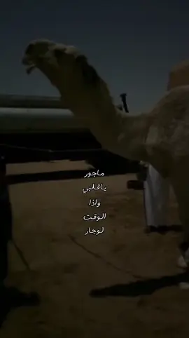 ماجور ي قلبي واذا الوقت دوار. #بدون_موسيقى #بدون_موسيقى_لحياه_افضل🔇 #شيلات #قصيد #شعر #اكسبلورexplore #اكسلبور #fyp #like #4u 