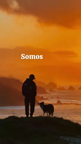 Somos una vez en la vida ❤️🌎 Una oportunidad para sentir. Para perseguir lo que nos mueve. Para equivocarnos… y volver a empezar. Una vida para vibrar. Para abrazar fuerte. y para compartir momentos inolvidables. Porque lo único que nos llevamos… son los momentos que se vuelven recuerdos. Busca eso que te hace feliz. Y no lo sueltes. Nunca. Somos una vez. Solo una. Haz que valga la pena. #amorperruno #viajarconperro 