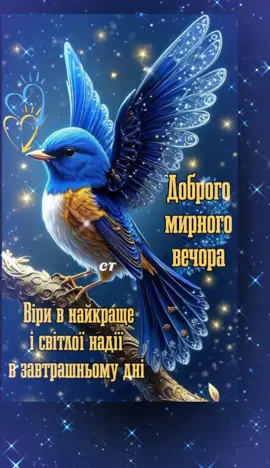 #доброговечера #доброїночі #мирутаспокою🙏🇺🇦 
