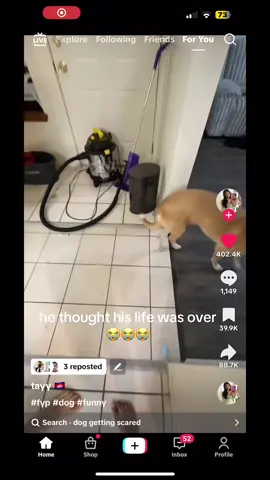 We got dogs screaming out the lords name before GTA6😭 - live today 10pm TikTok and twitch #vytoab #dogsscreaming 