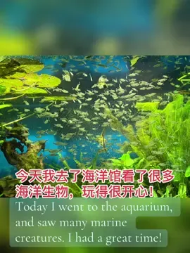 Today I went to the aquarium and saw many marine creatures. Had a great time.#chineseteacher #LearnOnTikTok #mandarin #fyp #中文 #chinese #