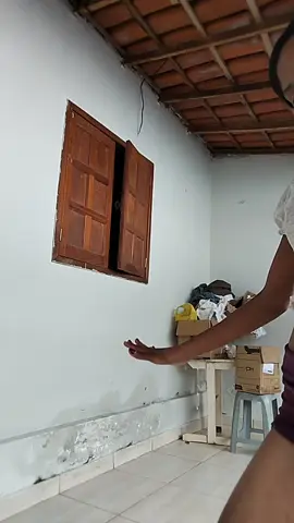 boa tarde #viralvideos 
