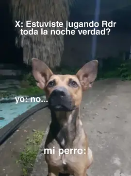 I'm afraid #reddeadredemption2  #rdr2  #arthurmorgan  #ps4  #perros 