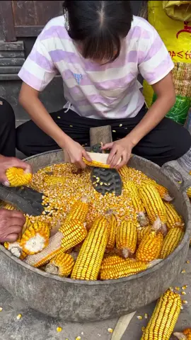 Máy tẽ hạt ngô cho gia đình #maytachhatngo #maytachhat #dienmay #tienich #tienichgiadinh #sieuthidienmay #shopgiare #shopgiare288 #xuhuong #xuhuongtiktok #LearnOnTikTok 
