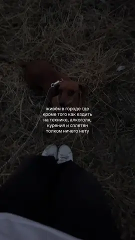 Бельцы. (идея не моя) #молдова #бельцы #рекомендации 