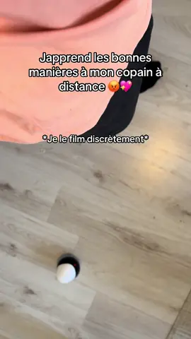 Il a bien compris à la fin 😭 #couple #mignon #robot 